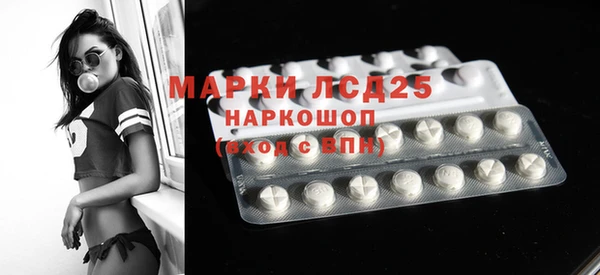 хмурый Алзамай