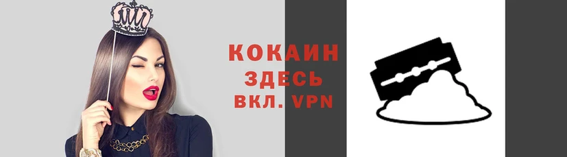 амф Алексин