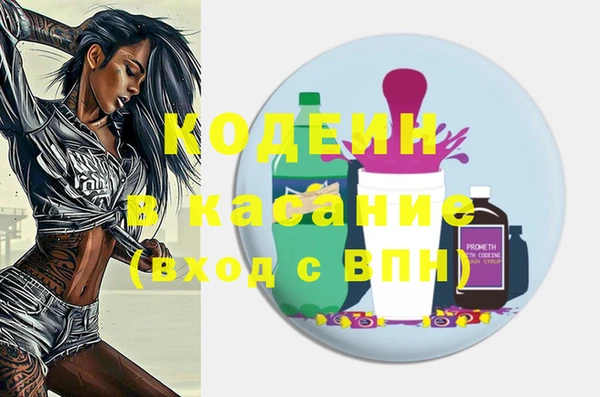 хмурый Алзамай