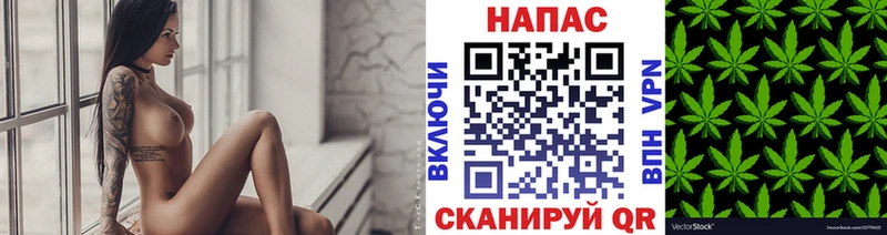 Бошки Шишки планчик  MEGA как войти  Задонск 
